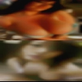 Girls fuck Belmont