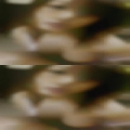 Naked girls Taylorsville